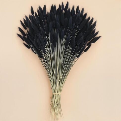 JOHOUSE 120PCS Dried Bunny Tail Grass, 16inch Dried Pampas Grass Natural Dried Lagurus Ovatus for Boho Home Wedding Decor Black in Saudi Arabia