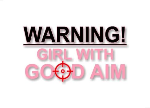 3 Decal Set Warning Girl with Good AIM Pink Theme 9'' Vinyl Decal Plus 2 Matching Kiss Lips Decals Hunting Truck Car Vehicle Gun Rifle Storage Locker Cabinet Safe Stickers (3 Piece Set - Pink Theme) in Kuwait