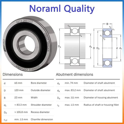 1PCs تحمل 6213 6213-2RS 6213-2Z 6213-2ZN 6213NR 6213-2RSNR محمل كرة أخدود عميق (6213NP5C3) in Saudi Arabia