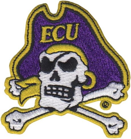 Tervis East Carolina Pirates - متنوع مصنوع في الولايات المتحدة الأمريكية كوب سفر معزول مع عزل معزول. in Kuwait