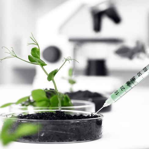 محاقن 1cc/ml مع إبرة 30 جرام 1/2 "(13 مم) ، مستلزمات المختبرات ، ملفوفة فردية ، حزمة من 30 (1cc 30g 1/2" -30pack) in Kuwait