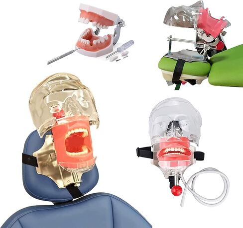 Manikin Simulator Dental Phantom Head w/typodont نموذج أسنان ثابت على الكرسي 1: 1 محاكمة عالية 360 درجة قابلة للتعديل لمدارس طب الأسنان التدريبية التدريبية التدريبية العملية in Kuwait