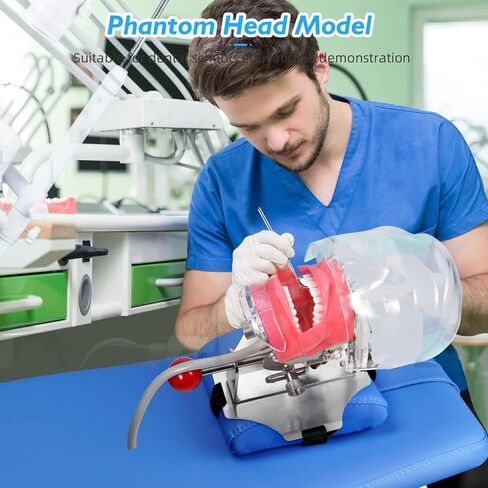 Manikin Simulator Dental Phantom Head w/typodont نموذج أسنان ثابت على الكرسي 1: 1 محاكمة عالية 360 درجة قابلة للتعديل لمدارس طب الأسنان التدريبية التدريبية التدريبية العملية in Kuwait