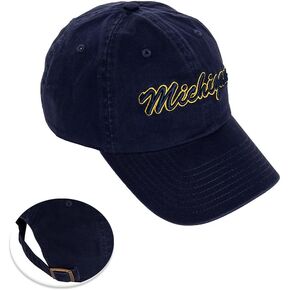 Desert Cactus University of Michigan Baseball Hat Wolverines um u of m brimmed ormroirderd hats cap cap abled strap come (style h1) blue in Kuwait