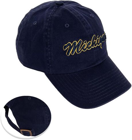 Desert Cactus University of Michigan Baseball Hat Wolverines um u of m brimmed ormroirderd hats cap cap abled strap come (style h1) blue in Kuwait