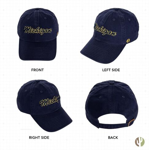 Desert Cactus University of Michigan Baseball Hat Wolverines um u of m brimmed ormroirderd hats cap cap abled strap come (style h1) blue in Kuwait