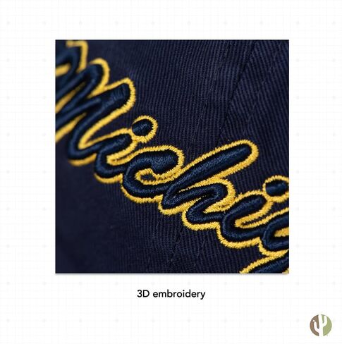 Desert Cactus University of Michigan Baseball Hat Wolverines um u of m brimmed ormroirderd hats cap cap abled strap come (style h1) blue in Kuwait