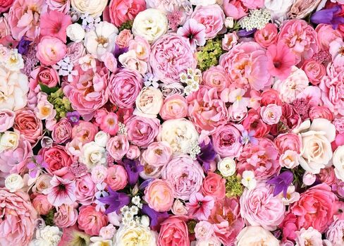 10x8ft Flower Wall Backdrop Spring Pink Rose Floral Photography Backdrop Bridal Shower Birthday Valentine's Day Mother's Day Decoration Background F54 in Kuwait