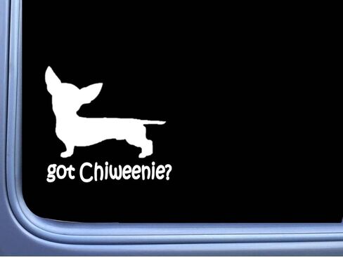 حصلت Ez-Stik على Chiweenie J810 6 بوصة ملصق Dachshund Chihuahua Dog Secal in Saudi Arabia