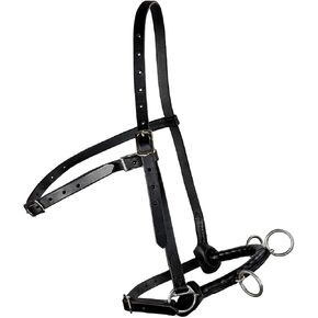 Cavesson Riding Leather Lunging Bridle Headcollar for écuyer Stainless Steel Hardware and Supple Cob Full Size Horses 3 Buckle Adjustable Straps Academic Baroque, Classical Dressage in Saudi Arabia