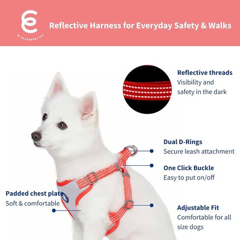 Blueberry Pet Essentials العودة إلى الأساسيات سترة عاكسة لحزام الكلاب، مشمش، متوسطة، أحزمة قابلة للتعديل للكلاب in Kuwait