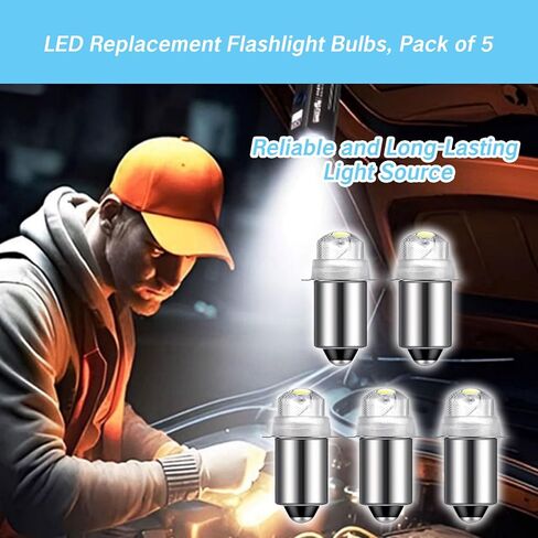 2 Pack Pack Flashlight Plubbs 30 Lumen 3-Volt LED LED PR6 لمبة استبدال المصابيح الكهربائية 3V المصباح المصباح المصباح المصباح مع 10 سنوات عمر 41-1643 P13.5S 6000K in Kuwait