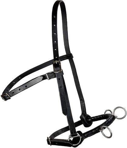 Cavesson Riding Leather Lunging Bridle Headcollar لأجهزة écuyer من الفولاذ المقاوم للصدأ والخيول ذات الحجم الكامل الحجم 3 أحزمة قابلة للتعديل in Saudi Arabia