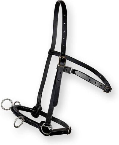 Cavesson Riding Leather Lunging Bridle Headcollar لأجهزة écuyer من الفولاذ المقاوم للصدأ والخيول ذات الحجم الكامل الحجم 3 أحزمة قابلة للتعديل in Saudi Arabia
