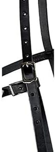 Cavesson Riding Leather Lunging Bridle Headcollar لأجهزة écuyer من الفولاذ المقاوم للصدأ والخيول ذات الحجم الكامل الحجم 3 أحزمة قابلة للتعديل in Saudi Arabia