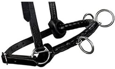 Cavesson Riding Leather Lunging Bridle Headcollar لأجهزة écuyer من الفولاذ المقاوم للصدأ والخيول ذات الحجم الكامل الحجم 3 أحزمة قابلة للتعديل in Saudi Arabia