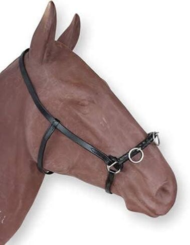 Cavesson Riding Leather Lunging Bridle Headcollar لأجهزة écuyer من الفولاذ المقاوم للصدأ والخيول ذات الحجم الكامل الحجم 3 أحزمة قابلة للتعديل in Saudi Arabia