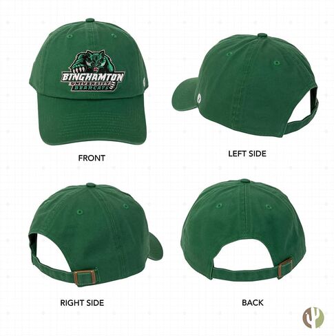 Desert Cactus Binghamton University Hat Bearcats Bearcats Suny Brimmed Ormbroderd Cap Cap قابلة للتعديل in Saudi Arabia