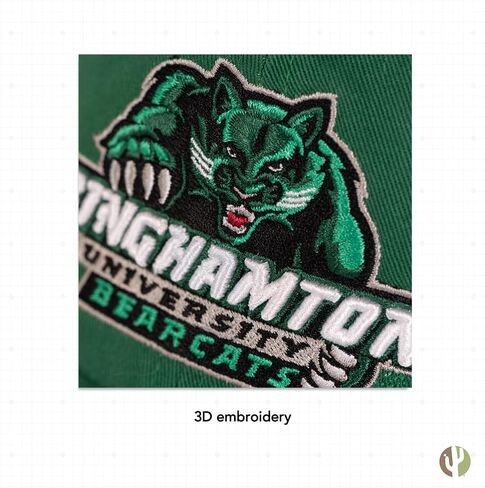 Desert Cactus Binghamton University Hat Bearcats Bearcats Suny Brimmed Ormbroderd Cap Cap قابلة للتعديل in Saudi Arabia