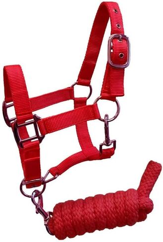 Pony Size Nylon Halter with Removalbe 7' Lead (Teal) in Saudi Arabia