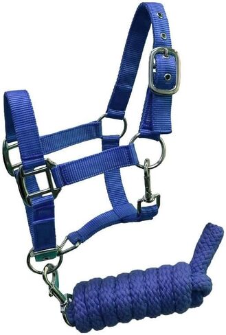 Pony Size Nylon Halter with Removalbe 7' Lead (Teal) in Saudi Arabia