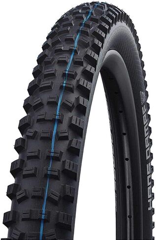 Schwalbe Hans Dampf Evo Faltreifen // 65-622 (29x2,6') Super Trail in Saudi Arabia