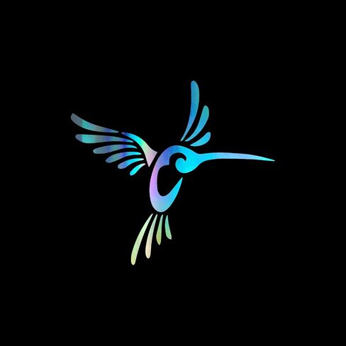 Hummingbird Silhouette Vinyl Decal Notebook Car Laptop 5.5" x 5" (Holographic) in Saudi Arabia