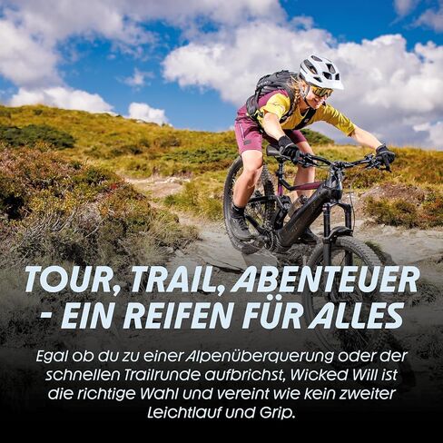 Schwalbe Wicked Will Performance Folding Tyre // 62-622 (29 x 2.40 Inches) TL-Ready in Saudi Arabia