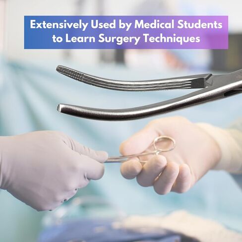 ملقط مرقئ في روتشستر مع الفكين المتقاطعين وأخاديد طولية مصنوعة من مراقبي الشريان ذاتي الفولاذ المقاوم للصدأ - 6.25 "(الفضة - CRV) in Kuwait