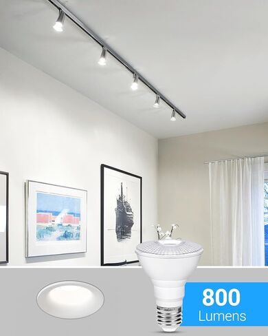 Flaspar PAR20 LED LED LID Light Light 5000k Day Daylight White Dimmable Outdoor ، 75W مكافئ 8W PAR20 لمبات ، e26 قاعدة متوسطة ، 60 درجة أضواء عاكس العاكس لأضواء الشرفة ، الفناء ، حديقة ، 2 عبوة in Kuwait