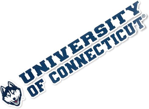 Desert Cactus University of Connecticut Sticker Huskies uconn name logo vinyl scal laptop mater bottle carbook (8 inst sticker) in Kuwait