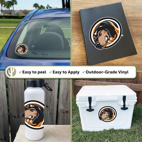Desert Cactus University of Tennessee UT Vols Voluntions Vinyl Secal Lacal Bottop Bottle Car Dookser (IND 61) in Kuwait