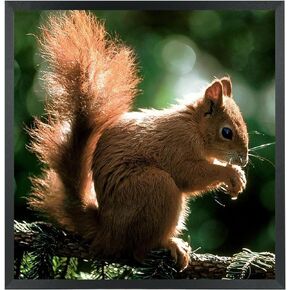 إطارات صور مقاس 18 × 19 من الخشب الصلب مقاس 18 × 19 بوصة إطار ملصق للجدار مقاس 18 × 19 بوصة إطارات صور عائلية باللون الأسود (C22B1819) in Kuwait