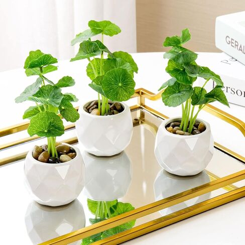 نباتات اللوتس الاصطناعية الصغيرة من MyGift، نباتات خضراء صناعية في أوعية زراعية مزخرفة من السيراميك الأبيض الهندسي وحشو حجري واقعي، مجموعة من 3 قطع in Saudi Arabia