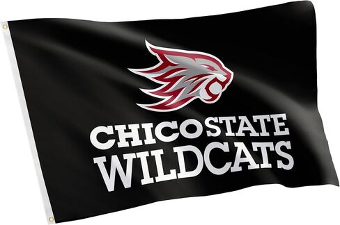 Desert Cactus Cal State Chico University California Flag Wildcats Banners 100 ٪ Polyester Indoor Outdoor 3x5 Feet Flags (New Mark Style 2) in Saudi Arabia