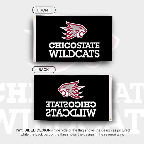 Desert Cactus Cal State Chico University California Flag Wildcats Banners 100 ٪ Polyester Indoor Outdoor 3x5 Feet Flags (New Mark Style 2) in Saudi Arabia