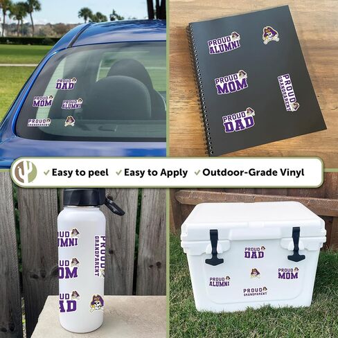 Desert Cactus East Carolina Sticker ECU Vinyl Secal Scal Laptop Botto Car Scrapbook (ورقة كاملة من العائلة) in Saudi Arabia