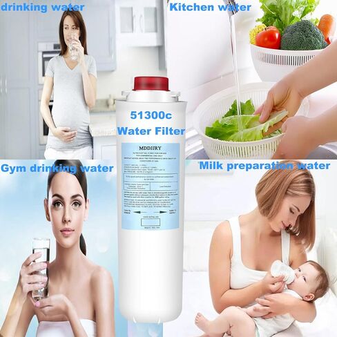 ترقية Elkay 51300C مرشح استبدال لمحطات زجاجة ELKAY EWF3000 51300C ، متوافق مع محطات زجاجة مرشح EZH2O 51300C 3000 جالون ، (4 حزم لا رقاقة) in Kuwait