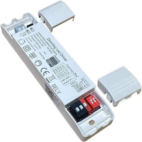 3.0 Slow Start 12W Slim Driver 200ma 300ma 350ma Tuya Smart App Control for CCT Light WW+CW Dimmable لغرفة وحدات LED (12W 150 إلى 300MA CCT) in Saudi Arabia