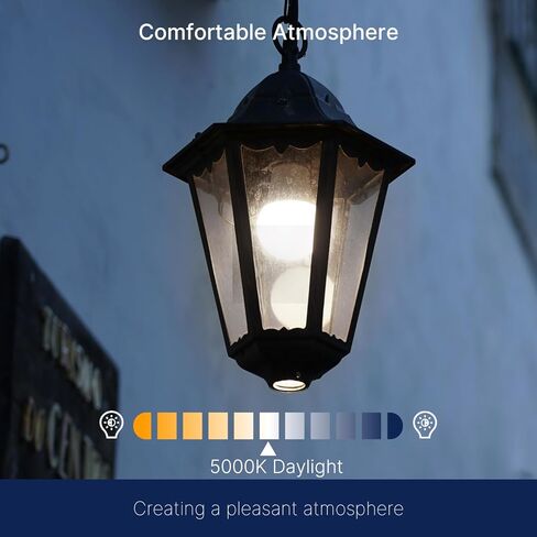 Flsnt Dusk to Dawn Outdoor Sensor A19 LED Edison Plubs ، 9W (60W EQV.) ، 800lm ، Fintage Filament E26 BASE ، Auto ON/OFF PHOTOCELL Automatic للإضاءة الخارجية الموفرة للطاقة ، 2700K أبيض ناعم ، 4 حزمة. in Kuwait