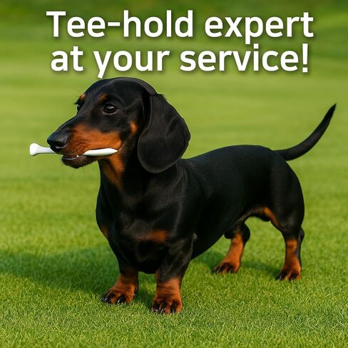 Dachstee Golf Tee Leash and Anchor - يمنع خسارة Tee Dachshund - هدية ملحق للجولف الممتعة لعشاق الكلاب المحددين in Saudi Arabia