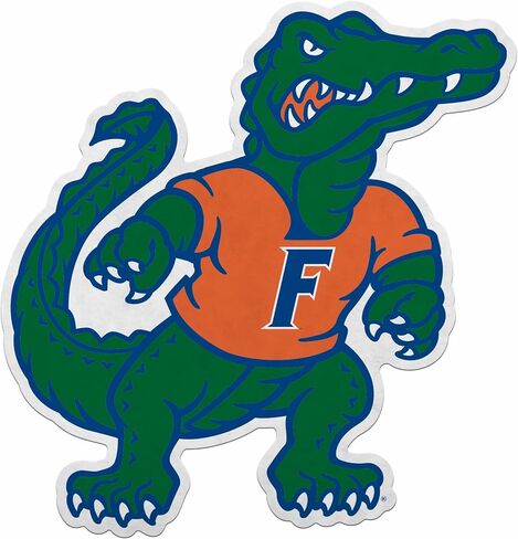 Rico Industries NCAA Florida Gators Mascot Mascot Mass in Saudi Arabia