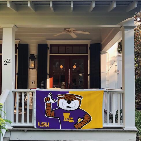 Desert Cactus LSU LSU Flag - 3 × 5 أقدام لافتة النمور ، النسيج المتين الداخلي/الخارجي ، تصميم البوليستر بنسبة 100 ٪ (النمط C) in Kuwait