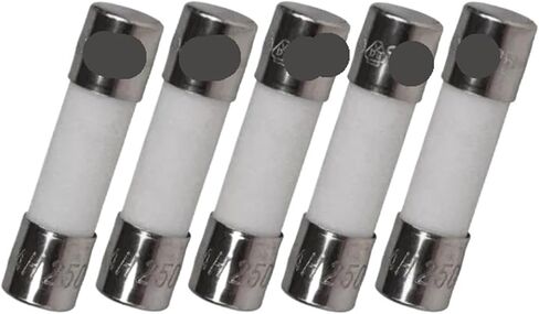 5PCS 10A 250V Ceramic Fuse 5X20mm in Saudi Arabia