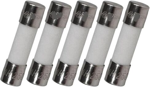 5PCS F15A 250V, Ceramic Fuse 5X20 mm in Saudi Arabia