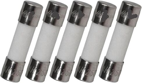 5PCS T8A H250V Fuse in Saudi Arabia