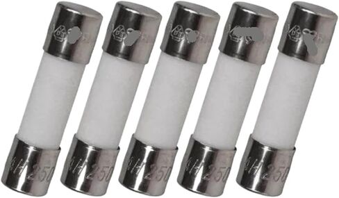 5PCS 5X20mm 3A 250V Ceramic Fuse in Saudi Arabia