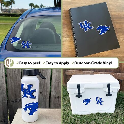 Desert Cactus University of Kentucky Sticker Wildcats UK Big Blue Vinyl Secal Lacal Bottop Bottle Carbook ( in Saudi Arabia