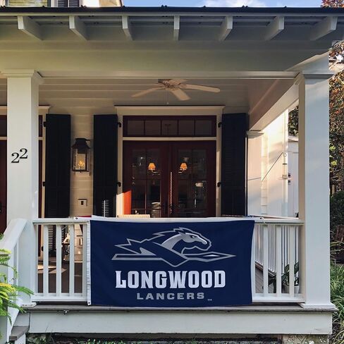 Desert Cactus Longwood University Lu Flag - 3 × 5 أقدام لافتة Lancers ، نسيج متين داخلي/خارجي ، تصميم البوليستر بنسبة 100 ٪ (النمط 1) in Kuwait
