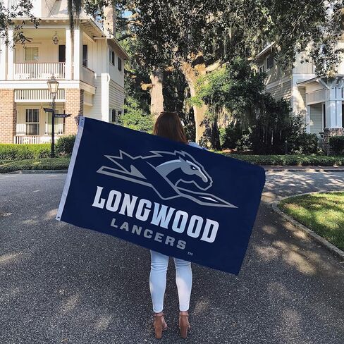 Desert Cactus Longwood University Lu Flag - 3 × 5 أقدام لافتة Lancers ، نسيج متين داخلي/خارجي ، تصميم البوليستر بنسبة 100 ٪ (النمط 1) in Kuwait